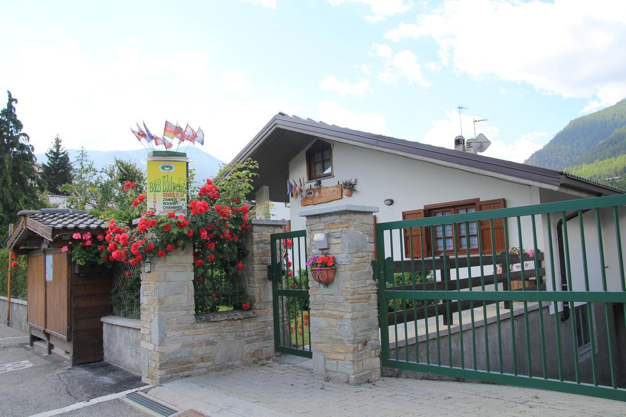 B&B Edelweiss Oulx Zewnętrze zdjęcie