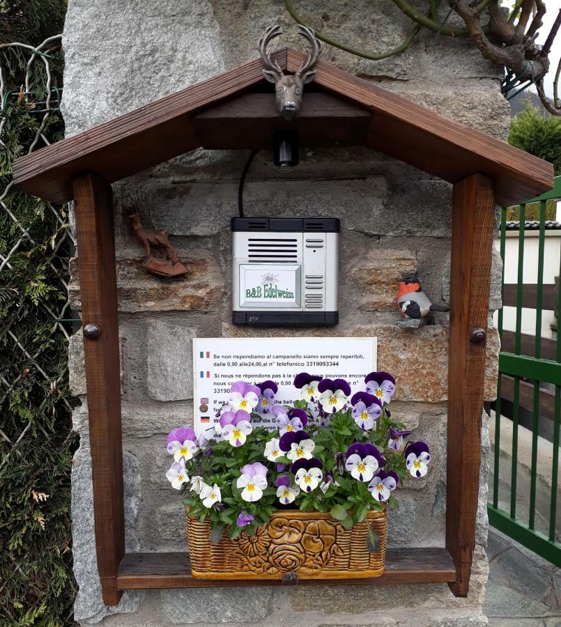 B&B Edelweiss Oulx Pokój zdjęcie